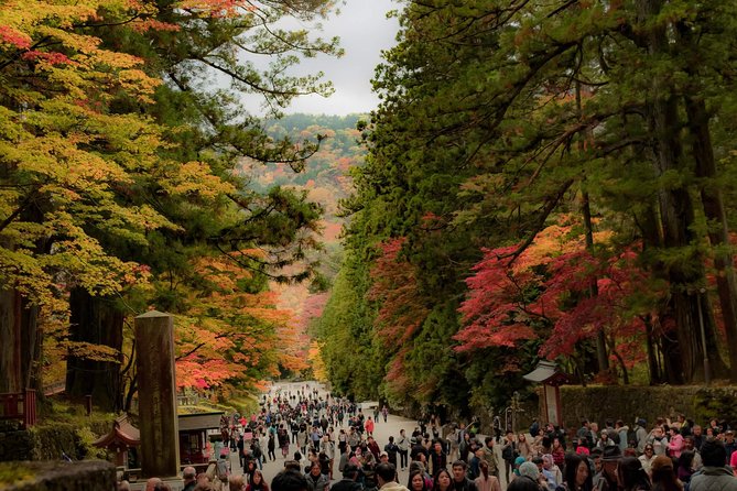 Nikko Custom Half Day Tour