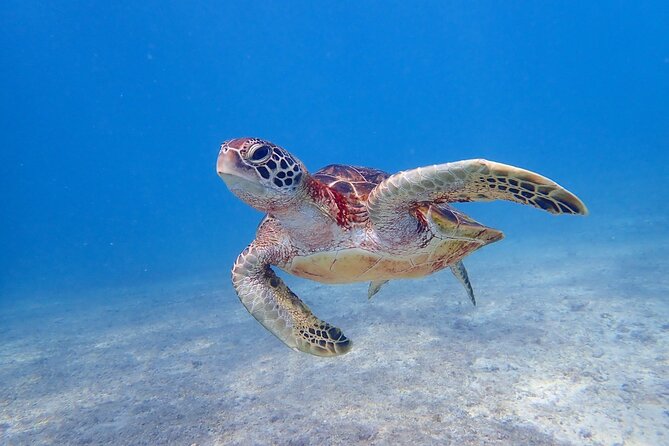 [Okinawa Miyako] 3 Set! Beach SUP, Tropical Snorkeling, Pumpkin Limestone Cave, Canoe