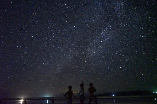 [Okinawa Miyako] Natural Planetarium! Starry Sky & Subtropical Jungle Night Tour