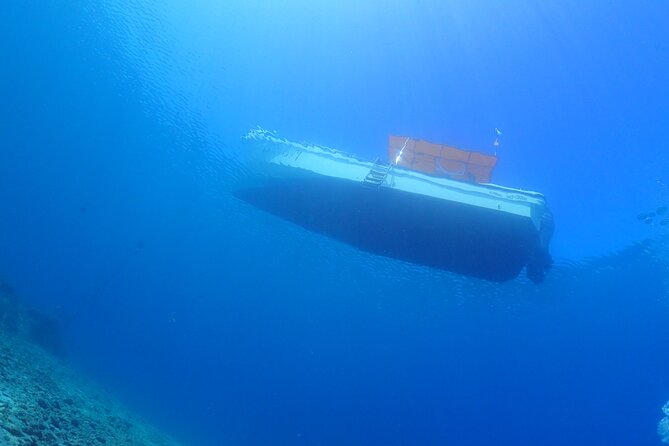 Okinawa Scuba Diving for Certified Divers (3 Boat Dives Lunch)