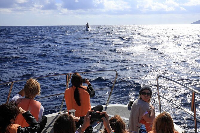 Okinawa Whale Watching From Naha