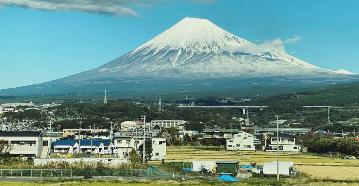 One Day Private Tour to Mt Fuji & Hakone With English Driver - Tour Details