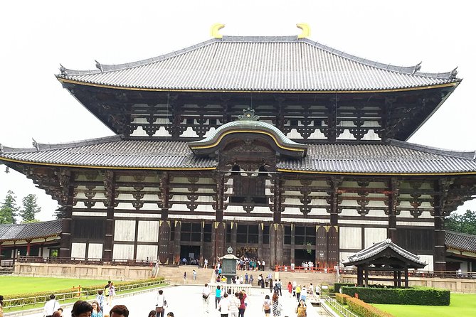 One-Day Tour of Amazing 8th Century Capital Nara