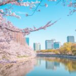 Osaka: Day Private Customizable Trip by Car Trip Details