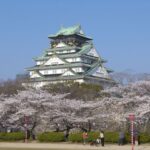 Osaka: Hour Customizable Tour With Private Car Tour Details