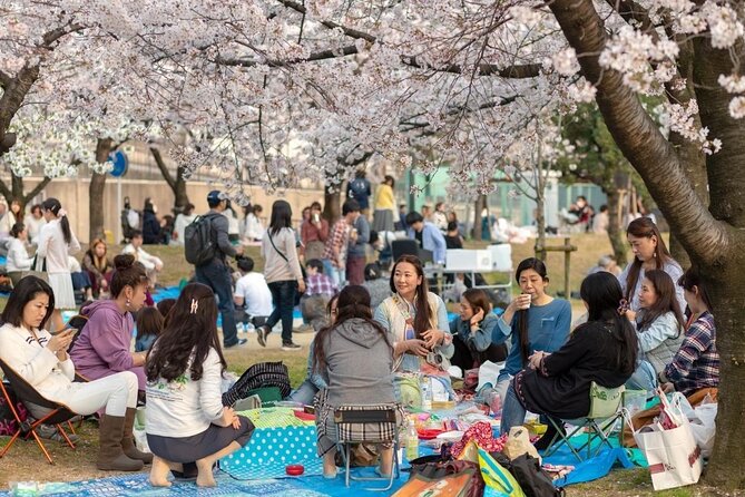 Osaka Cherry Blossom Tour With a Local: 100% Personalized Private - Tour Highlights