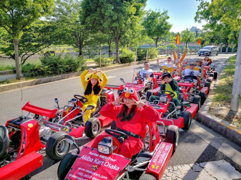 Osaka: Street Kart Experience on Public Roads