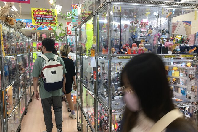 Private Akihabara Anime Guided Walking Tour