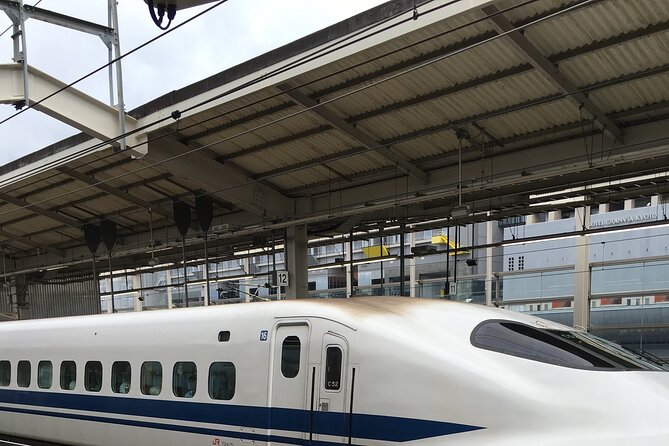 Private Car Transportation From Haneda Airport to Tokyo/Yokohama - Service Details