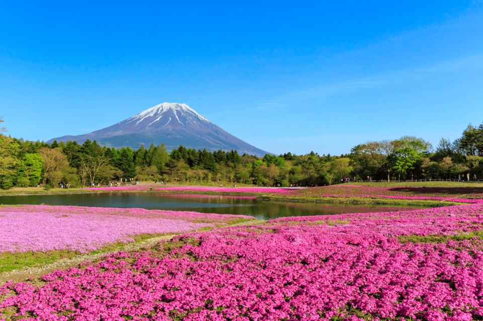 Private Charter Car One Day Trip in Near Tokyo! - Inclusions