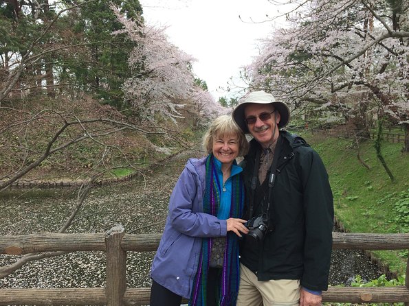 Private Cherry Blossom Tour in Hirosaki With a Local Guide