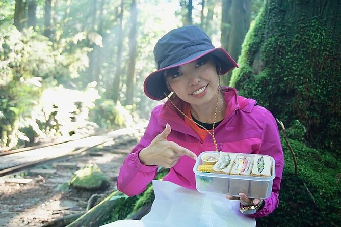 [Private Guide & Plan With Bento] Let’s Walk in the Ancient Forest of Jomon Cedar, Thousands of Years Old!