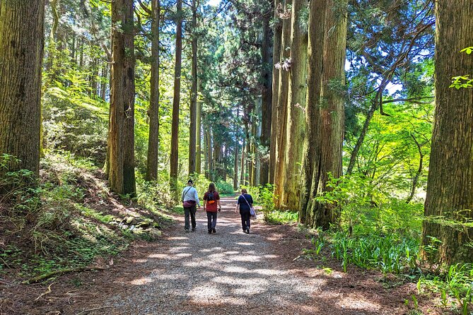 Private Hakone Tour - View of Mt. Fuji, Nature and Culture - Tour Highlights