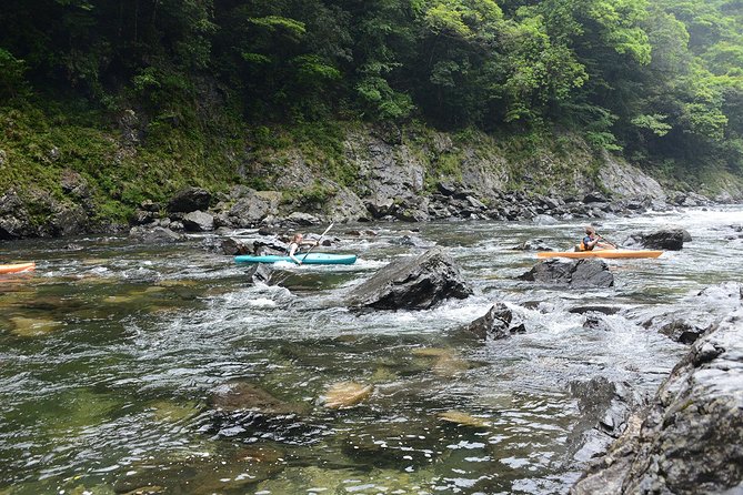 Private Half-Day Kayaking Trip on Kyushus Anbo River 2024 – Kagoshima Prefecture