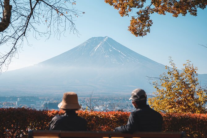 Private Mt Fuji, Hakone and Tokyo Tour-English Speaking Chauffeur