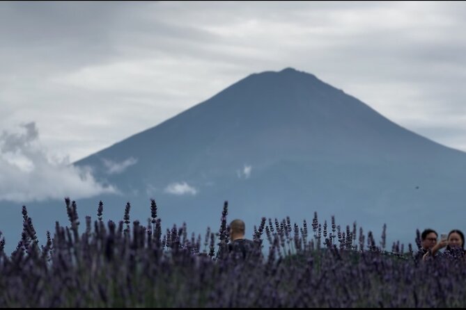 Private Sedan One-Day Mount Fuji Tour