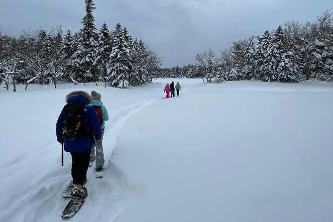 Private Snow Shoe Tour in Shiretoko National Park