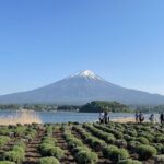 Private Tour in Mt Fuji and Hakone With English Speaking Driver Tour Highlights