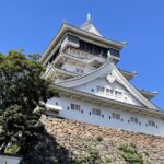 Private Tour to Kokura Castle, Uomachi Street, and Yasaka Shrine Tour Highlights