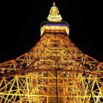 Private Transport Tokyo City Night View Tour Inclusions and Pickup Details