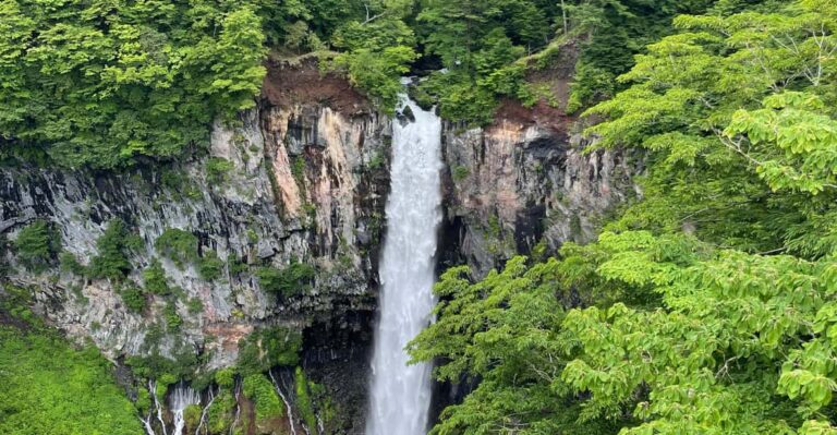 Private Trip to Nikko With English Speaking Driver