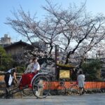 Private & Unique Kyoto Cherry Blossom "Sakura" Experience Overview