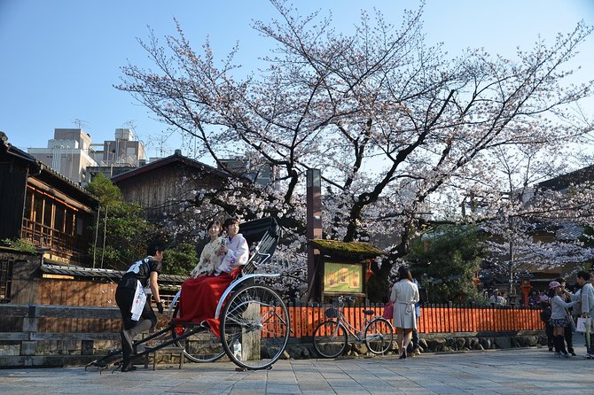 Private & Unique Kyoto Cherry Blossom "Sakura" Experience - Overview