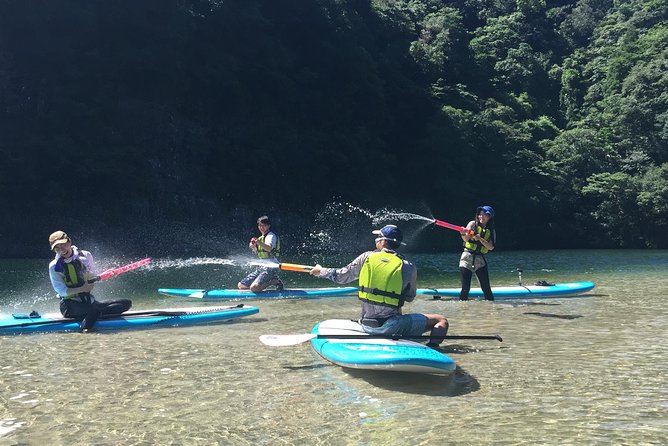 [Recommended on Arrival Date or Before Leaving!] Relaxing and Peaceful Water Walk on the Awakawa River by Stand up Paddleboard (Sup)