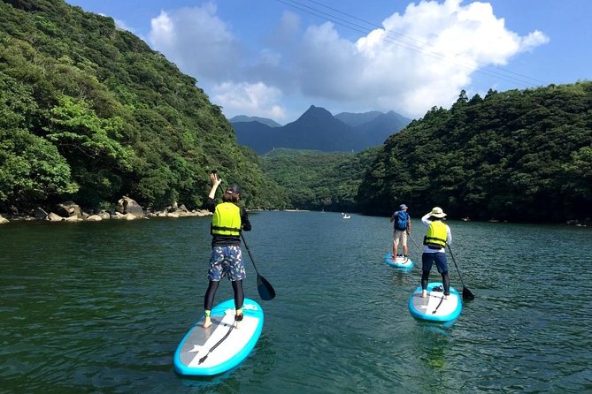 [Recommended on Arrival Date or Before Leaving!] Relaxing and Refreshing Water Walk on the Awakawa River by Stand-Up Paddleboard (Sup)