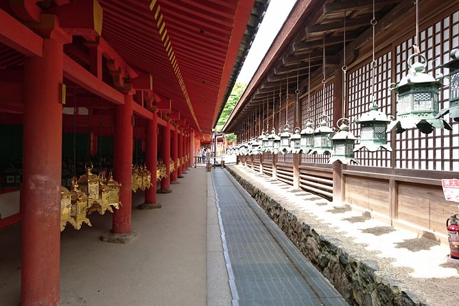 Relax in Nara: Deer Park, Todai-ji Temple and Merchants Town