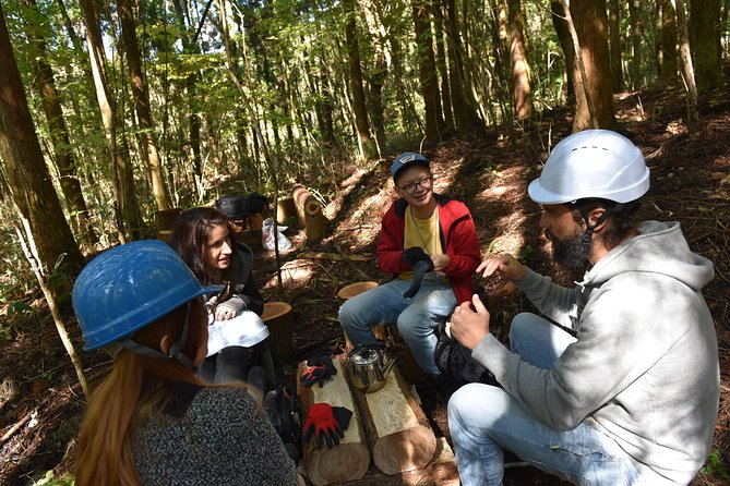 Rural Forestry Tour in Aso Minamioguni