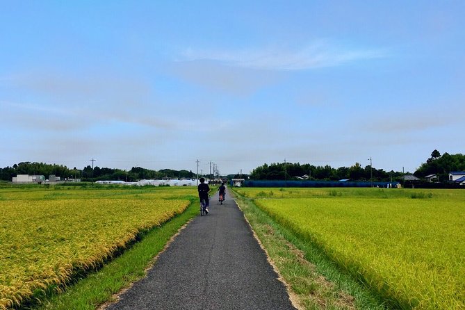 Rural Japan Cycling Tour to the Rich Nature Area in Ichinomiya - Tour Highlights