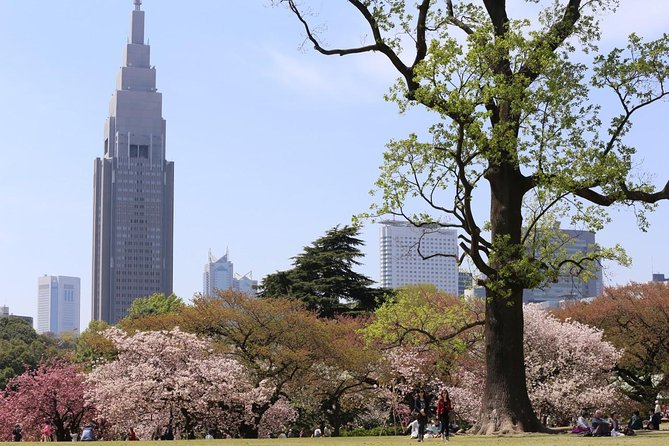 Shared Arrival Transfer : Haneda Airport to Central Tokyo City - Reservation Details