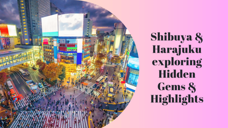 Shibuya & Harajuku Exploring Hidden Gems & Highlights Tour