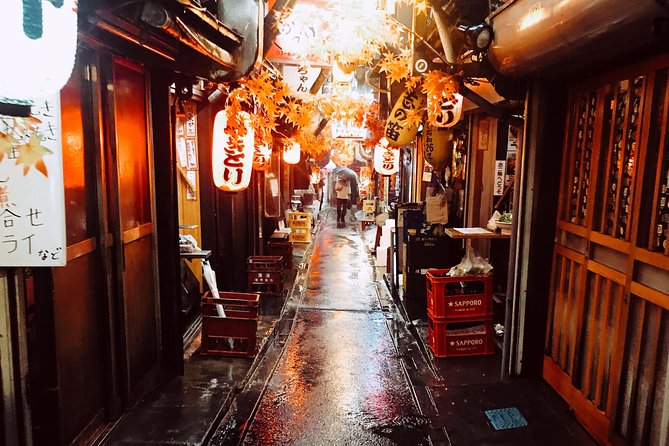 Shinjuku City Tokyo Small-Group Tour With Karaoke - Tour Highlights