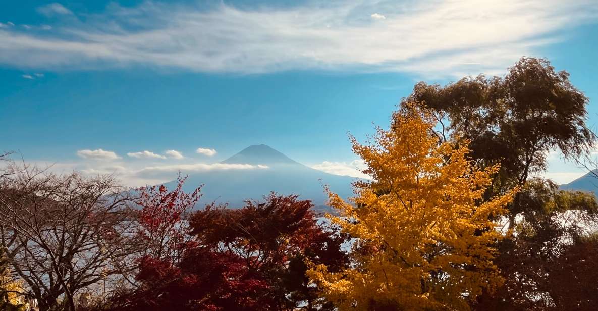 Shinjuku: Mount Fuji Panoramic View and Shopping Day Tour - Tour Details