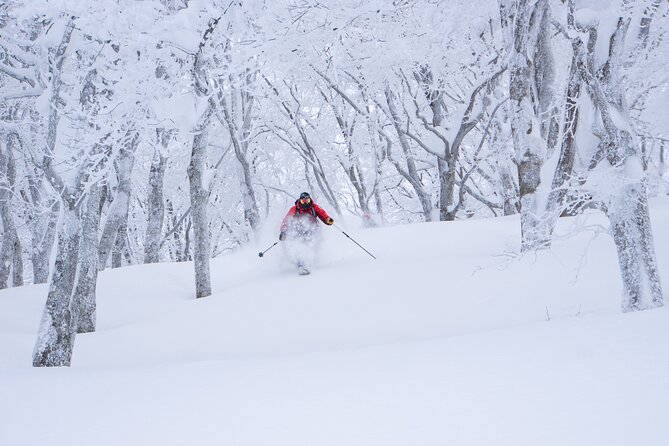 Ski or Snowboard Lesson in Shiga Kogen (4Hours)