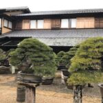 Small Group Hour Bonsai Making Lesson in Tokyo (Mar ) Workshop Details