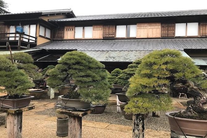 Small-Group 2-Hour Bonsai-Making Lesson in Tokyo (Mar )