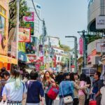 Small Group Half Day Pop Culture Tour of Harajuku, Tokyo Tour Highlights