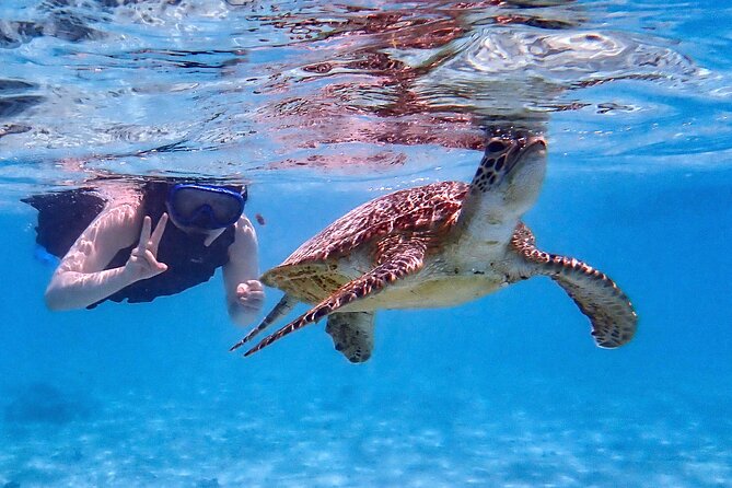 Snorkeling Activity in Miyako Japan