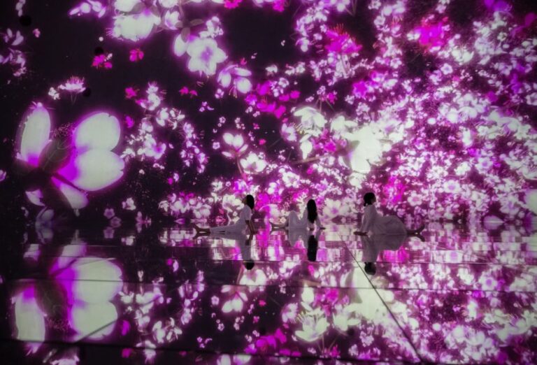 Teamlab Planets TOKYO: Digital Art Museum Entrance Ticket