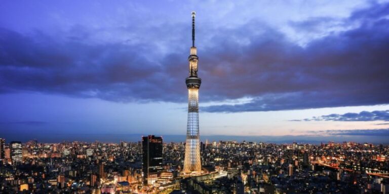 Tokyo: 1 Day Private Customisable City Tour by Car and Van