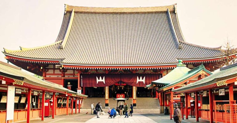 Tokyo: 1-Day Private Customizable Tour by Car