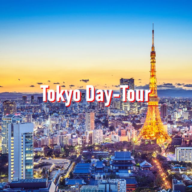 Tokyo: 10-Hour Customizable Private Tour With Hotel Transfer