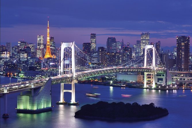 Tokyo Airport Transfers: Tokyo City to Tokyo-Narita Airport NRT in Luxury Van - Professional Driver Service