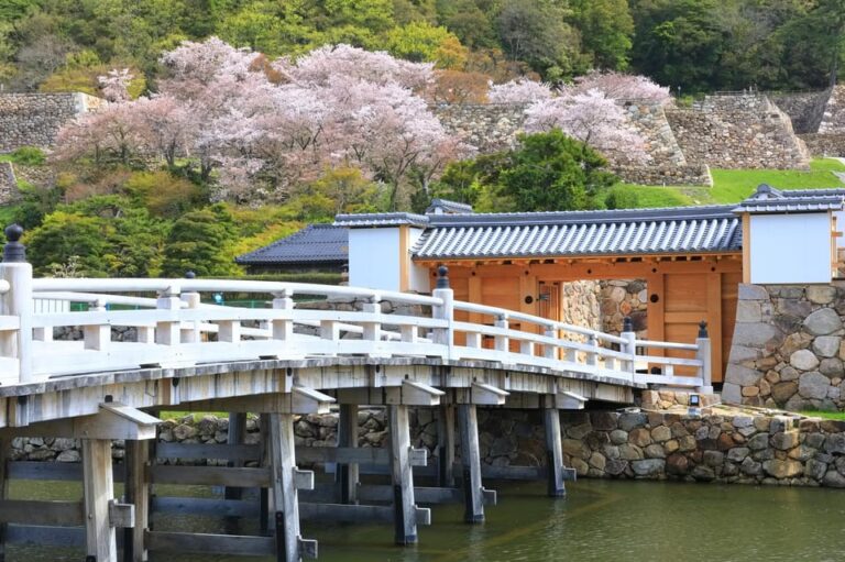 Tokyo: Chiyoda Imperial Palace Walking Tour