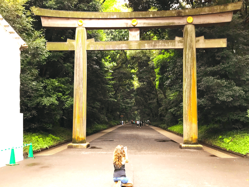 Tokyo: Complete Tour in One Day, Visit All 15 Popular Sights - Meiji Shrine