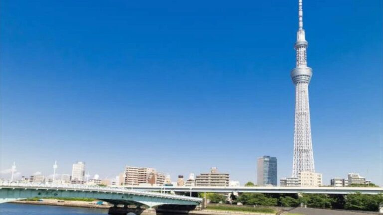 Tokyo: Customizable Private Guided Walking Tour