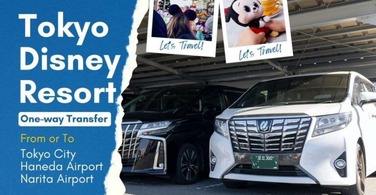 Tokyo Disney Resort Private Transfer: Tokyo, Narita & Haneda